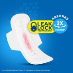 518r9Y-qeVL._SL1001_