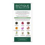 Biotique Herbcolor Conditioning Hair Colour 3N1